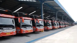 PO Rosalia Indah: Raksasa Jalanan dari Palur yang Terus Melaju