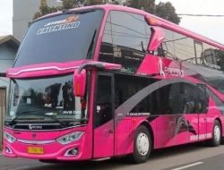PO Bus Kencana: Strategi Bisnis dan Inovasi Layanan