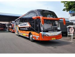 Harga Tiket dan Jadwal Keberangkatan Bus Rosalia Indah