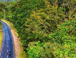 Pantura Situbondo KM 17: Misteri Jalur Silang dan Penumpang Gelap