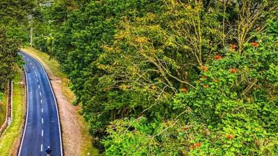 Pantura Situbondo KM 17: Misteri Jalur Silang dan Penumpang Gelap