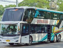 Harga Tiket PO Garuda Mas Hari Ini