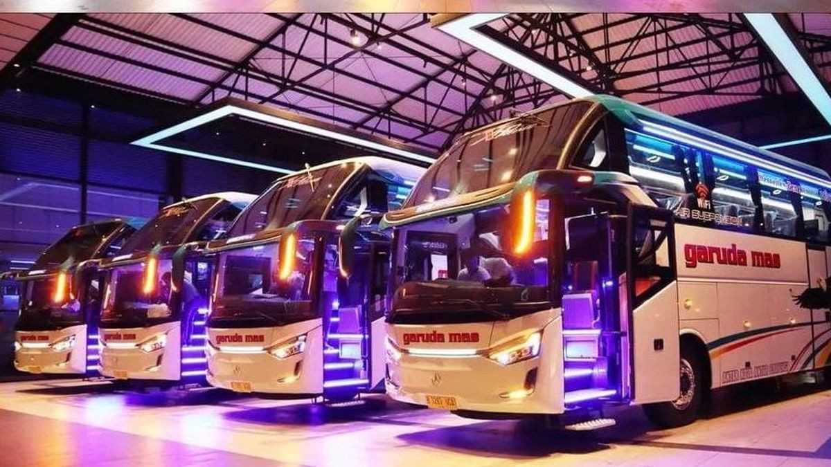 BUS Garuda Mas BUS Garuda Mas