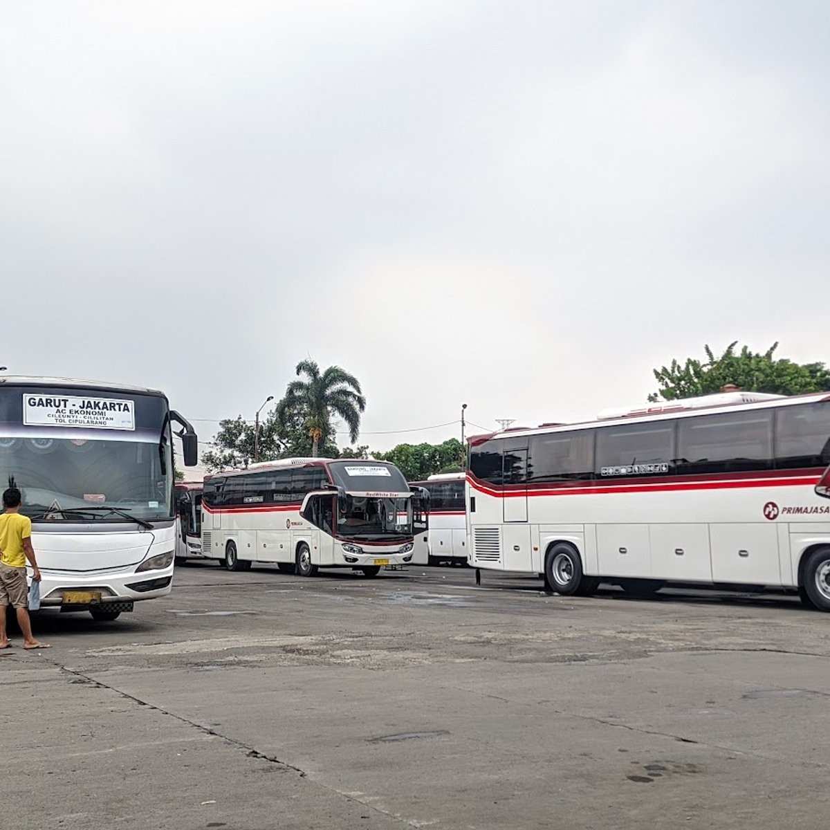Pool Bus Primajasa Cililitan