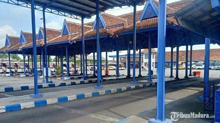 terminal patria 2