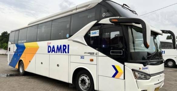 Bus DAMRI
