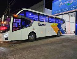 Bus DAMRI Pelabuhan Tanjung Perak ke Bungurasih