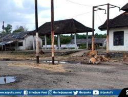 Terminal Betung Kabupaten Banyuasin