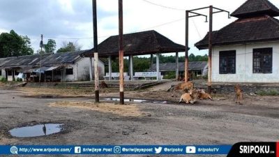 Terminal Betung Kabupaten Banyuasin